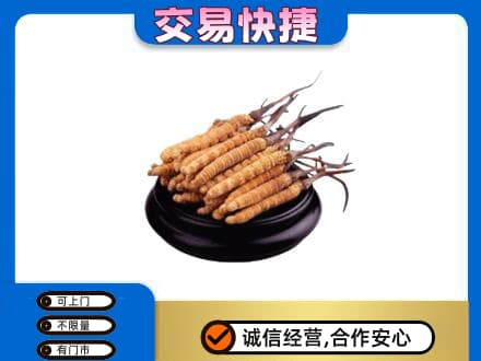 镇江礼品回收散虫草.jpg